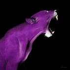 LIONESS-PURPLE LIONESS RED  Showroom - Inkjet on plexi, limited editions, numbered and signed. Wildlife painting Art and decoration. Click to select an image, organise your own set, order from the painter on line